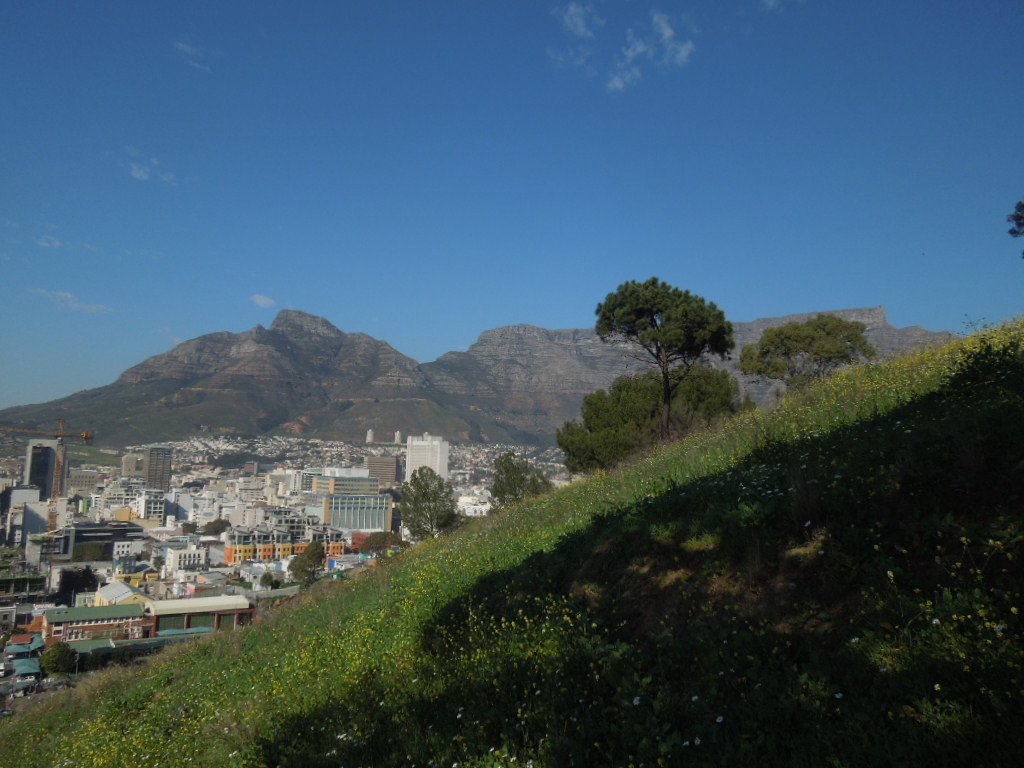 Où dormir au Cap : entre la montagne de la Table et l’océan