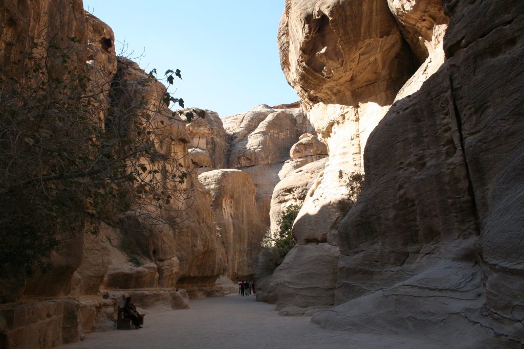Le Siq, défilé rocheux menant à Petra en Jordanie