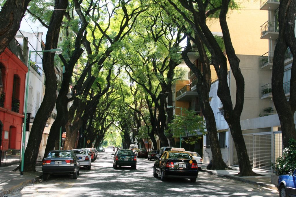 Rue arborée du quartier de Palermo à Buenos Aires