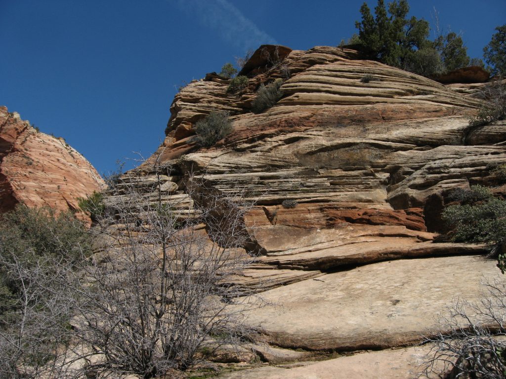 Le canyon de Zion et ses falaises de grès vues depuis un sentier du parc