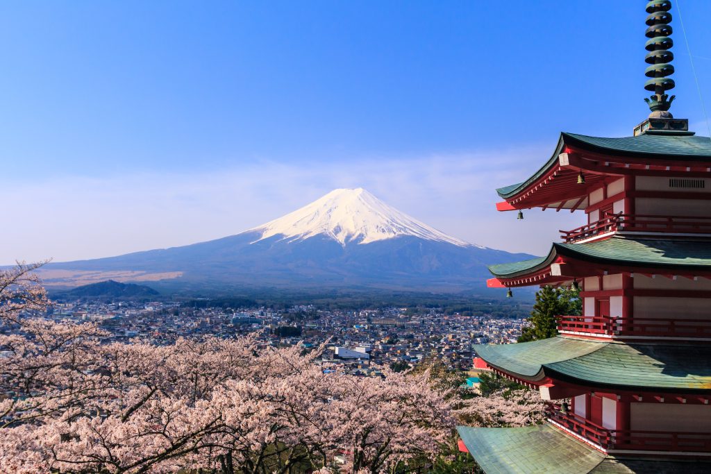 Pagode Chureito et mont Fuji entourés de cerisiers en fleurs au printemps