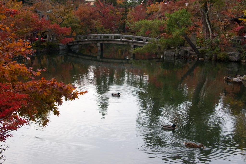 Érables rouges du temple Eikan-do à Kyoto en automne
