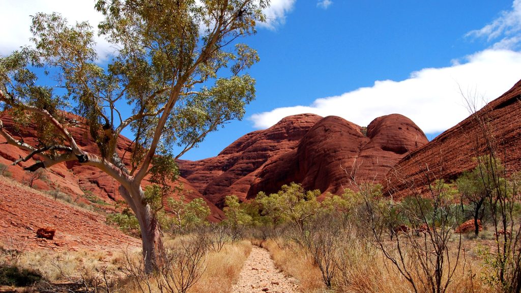 Les dômes de Kata Tjuta et la vallée des Vents dans le Territoire du Nord