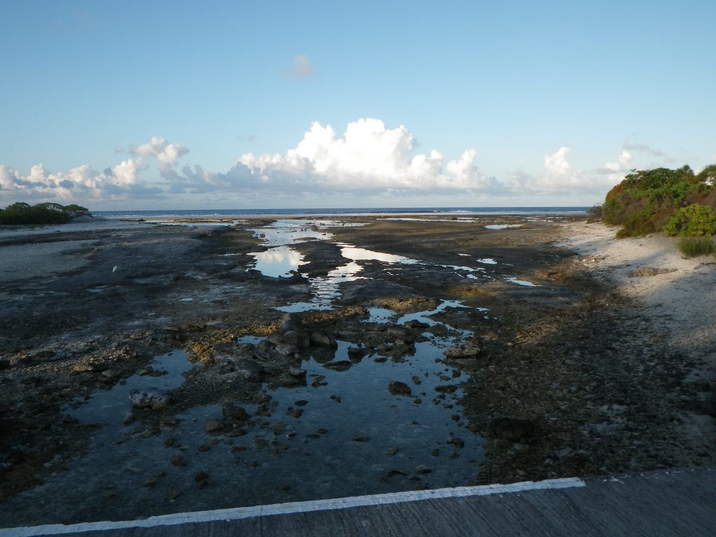 Lagon et motu de l’atoll de Rangiroa, dans l’archipel des Tuamotu