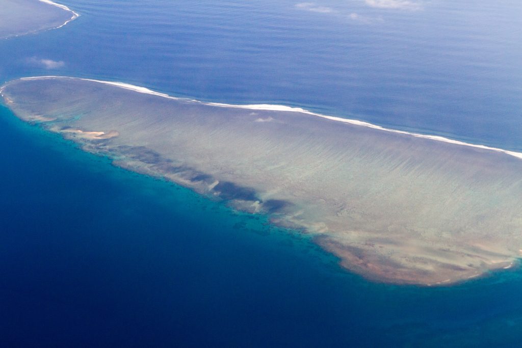 Récif corallien coloré près de l'île de Malolo, Fidji