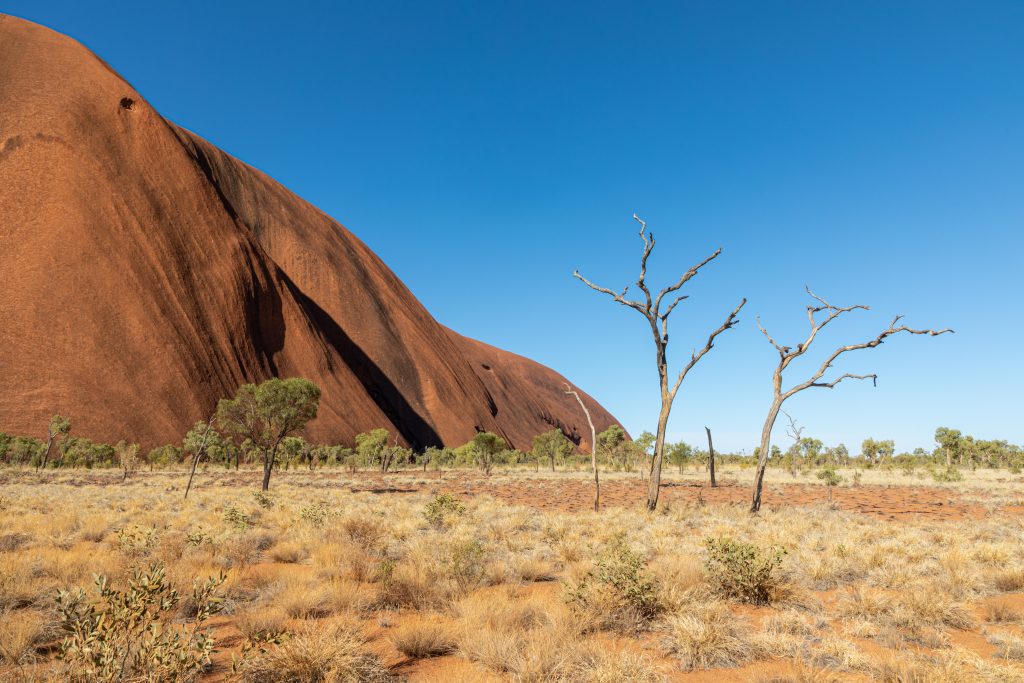 Sentier de la marche kuniya le long de la paroi d’Uluru