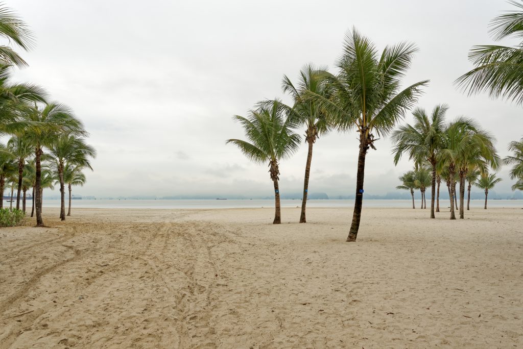 Quand partir au Vietnam ? Le guide région par région